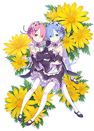 "Re:Zero kara Hajimeru Isekai Seikatsu" Shinichirou Otsuka Art Works Re:BOX 2nd (Book)