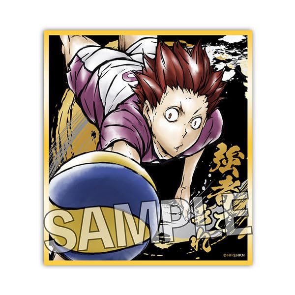 "Haikyu!!" Gekitou!! Kirameki Shikishi Tendo Satori