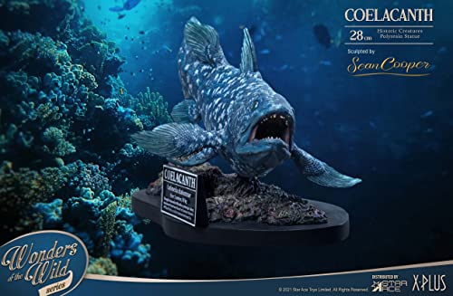 Star Ace Toys Wonders of the Wild Series Coelacanth Polyresin Statue