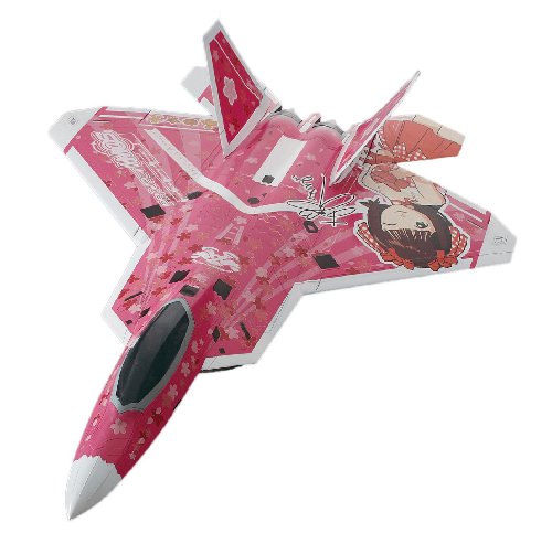Amami Haruka (Lockheed Martin F-22A Raptor versione) - Scala 1/48 - The Idolmaster - Hasegawa