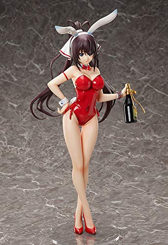 "Infinite Stratos" Shinonono Houki Bare Legs Bunny Ver.