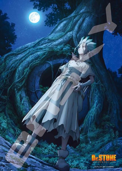 "Dr. Stone" Jigsaw Puzzle 500 Piece 500-546 New World