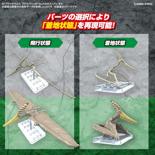 PLANNOSAURUS Pteranodon
