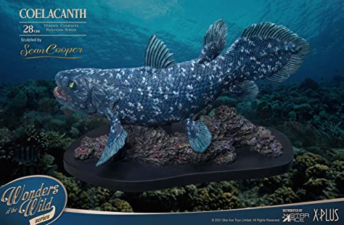 Star Ace Toys Wonders of the Wild Series Coelacanth Polyresin Statue Deluxe Edition