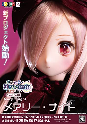 1/6 Scale Doll Colorful Dreamin' Mary Knight -Our New Story-