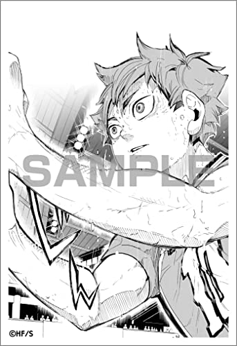 "Haikyu!!" 10th Chronicle Bundled Ver. with Goods