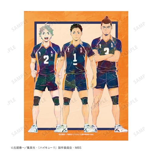 "Haikyu!!" 3rd Grade Ani-Art Vol. 4 Canvas Board