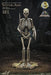 【STAR ACE TOYS】Star Ace Toys "Jason and the Argonauts" Skeleton Army Statue