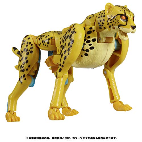 "Transformers" Kingdom Series KD-03 Cheetah