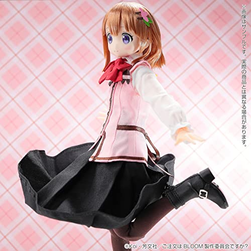 1/6 Pureneemo Character Series 142 "Gochumon wa Usagi Desu ka? Bloom" Cocoa