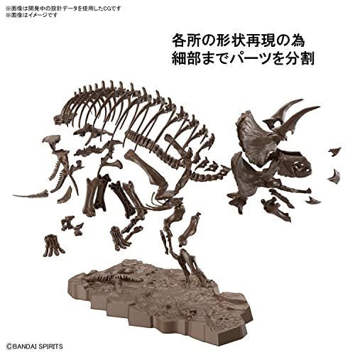 1/32 Imaginary Skeleton Triceratops