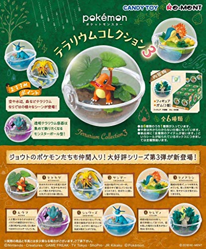 "Pokemon" Terrarium Collection 3