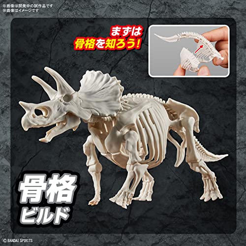 New Dinosaur Plastic Model Brand Triceratops