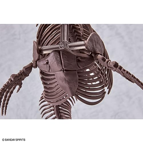 1/32 Imaginary Skeleton Mosasaurus