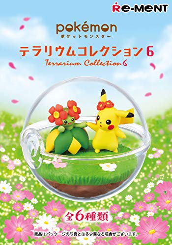 "Pokemon" Terrarium Collection 6