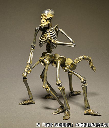 Gaikotsu (Iron Rust version) KT Project (KT-005) Revoltech Takeya - Kaiyodo