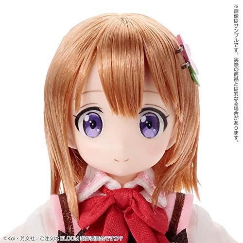 1/6 Pureneemo Character Series 142 "Gochumon wa Usagi Desu ka? Bloom" Cocoa