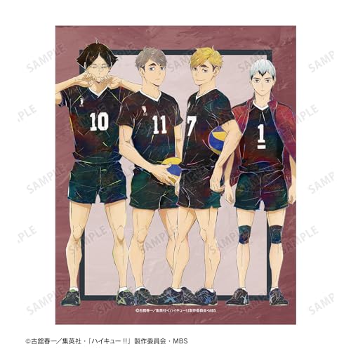 "Haikyu!!" Inarizaki High School Ani-Art Vol. 6 Canvas Board