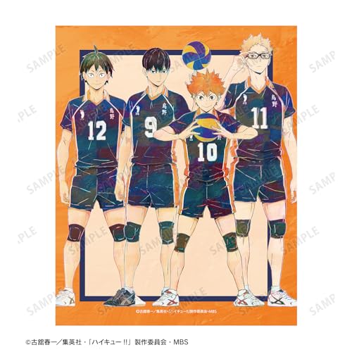 "Haikyu!!" 1st Grade Ani-Art Vol. 4 Canvas Board