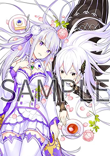 "Re:Zero kara Hajimeru Isekai Seikatsu" Art Fan Book 2021 Winter (Book)