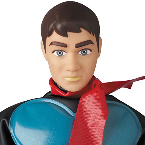 Kamen Rider Ichigo 1/6 Real Action Heroes (No.737) Kamen Rider - Medicom Toy