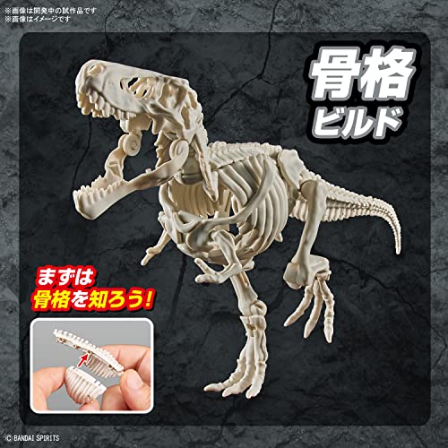 New Dinosaur Plastic Model Brand Tyrannosaurus