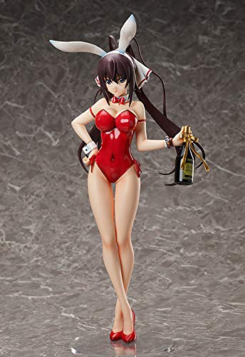 "Infinite Stratos" Shinonono Houki Bare Legs Bunny Ver.