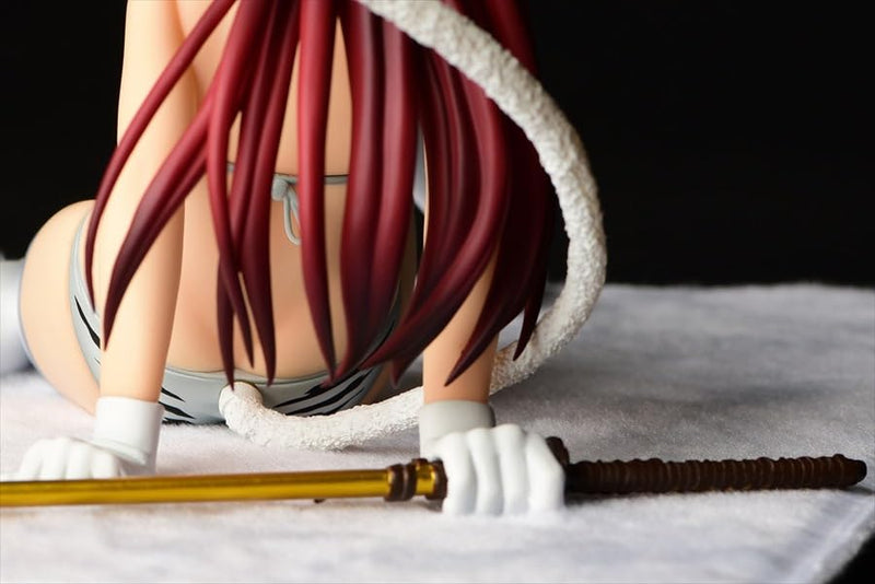 "Fairy Tail" Erza Scarlet White Tiger Gravure Style