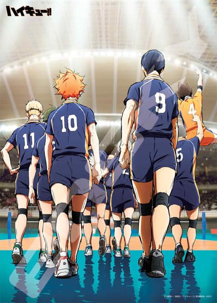 "Haikyu!!" Jigsaw Puzzle 500 Piece 500-543 Start Game!