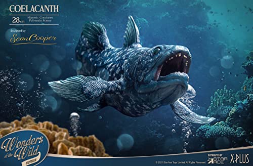 Star Ace Toys Wonders of the Wild Series Coelacanth Polyresin Statue