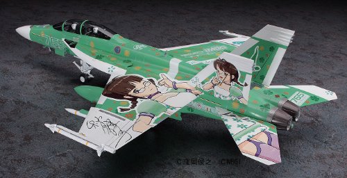 Akishuiko (Boeing f / a - 18F) - 1 / 48 Scale - Idol Master - Hasegawa