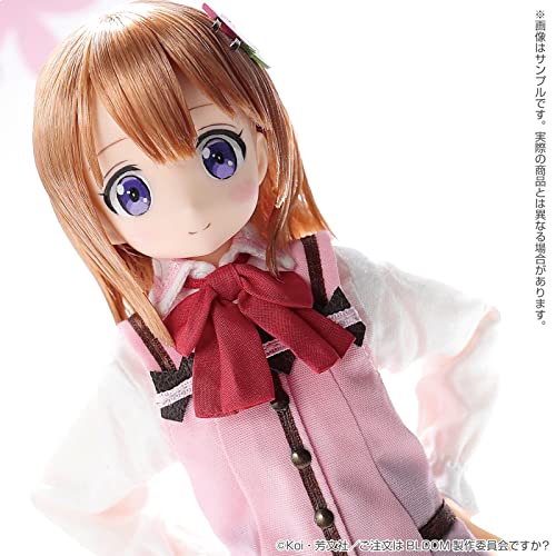1/6 Pureneemo Character Series 142 "Gochumon wa Usagi Desu ka? Bloom" Cocoa