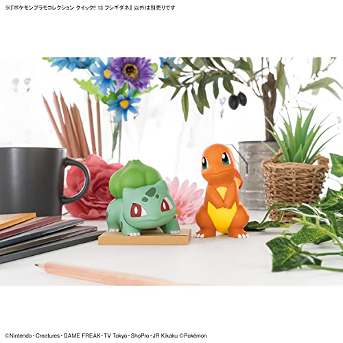 Pokemon Pokemon Plastic Model Collection PokePla Quick!! 13 Bulbasaur