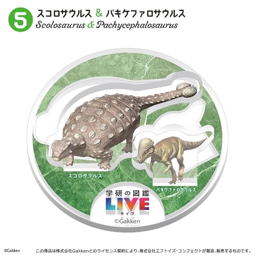 Gakken Picture Book LIVE Dinosaur Acrylic Stadium