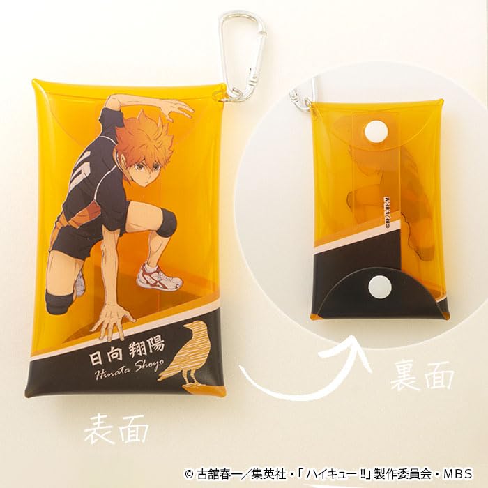 "Haikyu!!" Multi Case