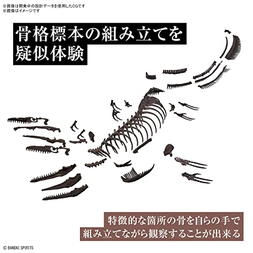 1/32 Imaginary Skeleton Mosasaurus