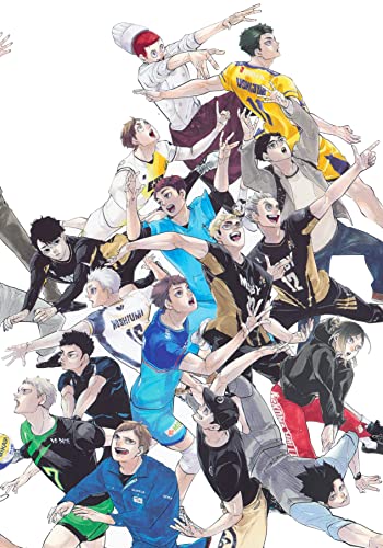 "Haikyu!!" 10th Chronicle Bundled Ver. with Goods