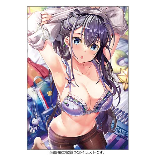 Art Collection Shitagi Hyakka (Book)