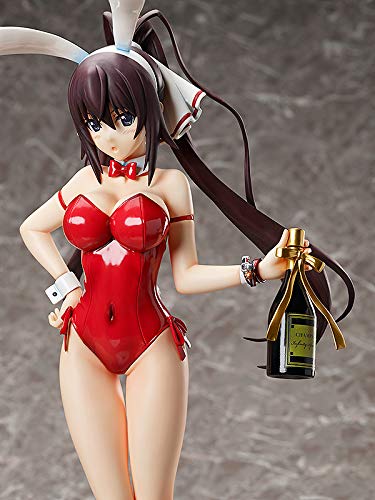 "Infinite Stratos" Shinonono Houki Bare Legs Bunny Ver.