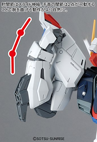ZGMF-X10A Freedom Gundam (Ver. 2.0 version)-échelle 1/100-MG (#192), Kidou Senshi Gundam SEED-Bandai