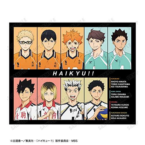 "Haikyu!!" Group Second Uniform Ver. Canvas Board