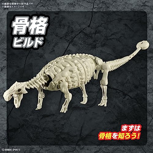 PLANNOSAURUS Ankylosaurus
