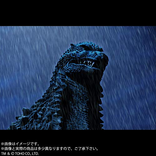 Toho 30cm Series Yuji Sakai Collection "Godzilla Against Mechagodzilla" Godzilla (2002) Arashi no Naka no Koubou