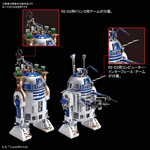 "Star Wars" 1/12 R2-Q5