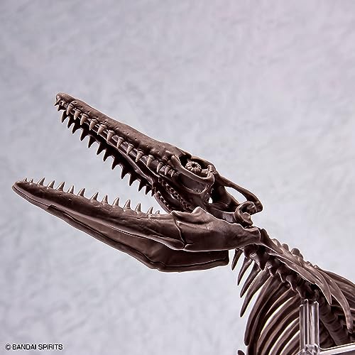 1/32 Imaginary Skeleton Mosasaurus
