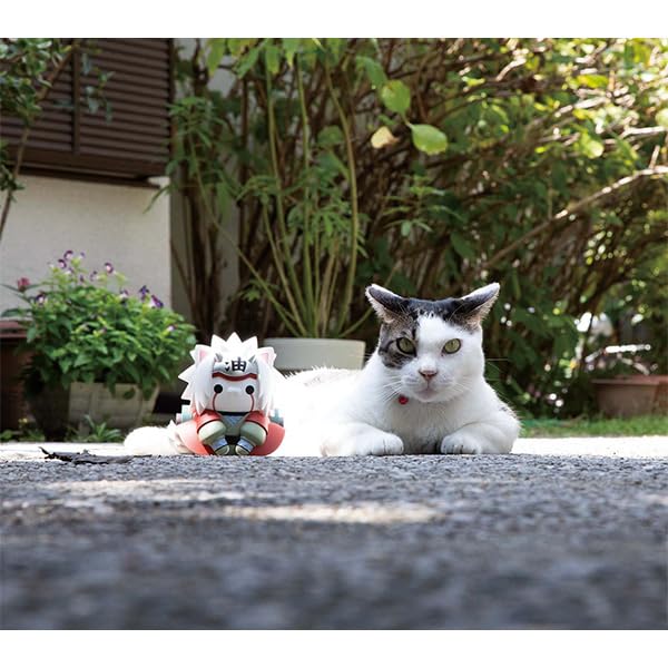 MEGA CAT PROJECT "NARUTO" Nyantomo Ookina NYARUTO! 1 Jiraiya