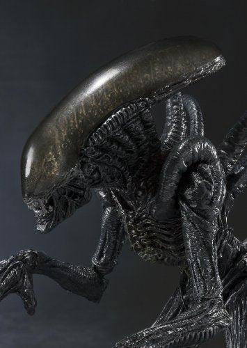 Alien Warrior S.H.MonsterArts Alien Vs Predator - Bandai