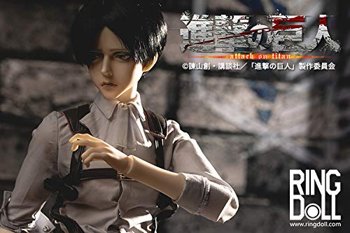 RingDoll "Attack on Titan" BJD Doll Levi Ackerman