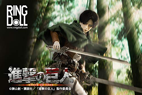 RingDoll "Attack on Titan" BJD Doll Levi Ackerman
