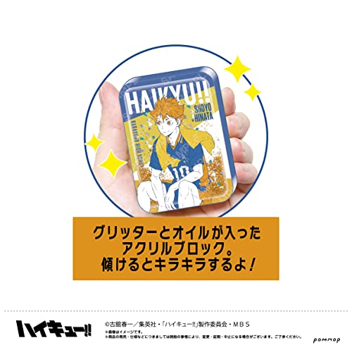 "Haikyu!!" Oil in Acrylic A Hinata Shoyo U91 23F 034
